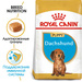 Royal Canin Junior Dachshund Сухой корм для щенков породы Такса – интернет-магазин Ле’Муррр