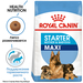 Royal Canin Maxi Starter Сухой корм для щенков до 2 месяцев, беременных и кормящих собак крупных пород – интернет-магазин Ле’Муррр