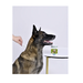 АВЗ Барс капли против блох и клещей для собак от 20 кг до 30 кг 1 пипетка/4,2 мл – интернет-магазин Ле’Муррр