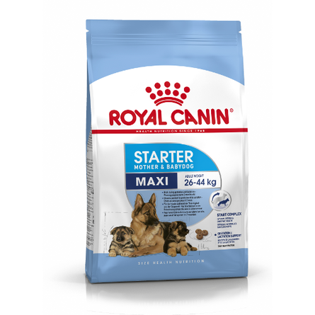 Royal Canin Maxi Starter Сухой корм для щенков до 2 месяцев, беременных и кормящих собак крупных пород – интернет-магазин Ле’Муррр